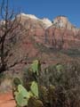 Zion - Towers of the Virgin